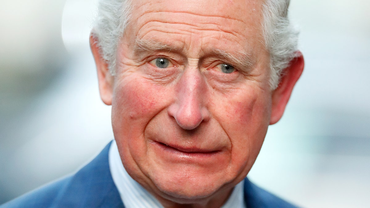 A close-up of King Charles wearing a blue suit looking disgusted