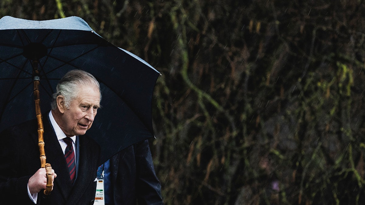 King Charles in a suit and tie holding an umbrella