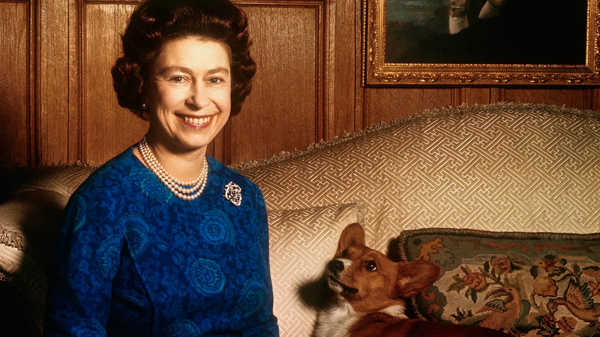 Queen Elizabeth wearing a blue dress with pearls sitting next to her corgi