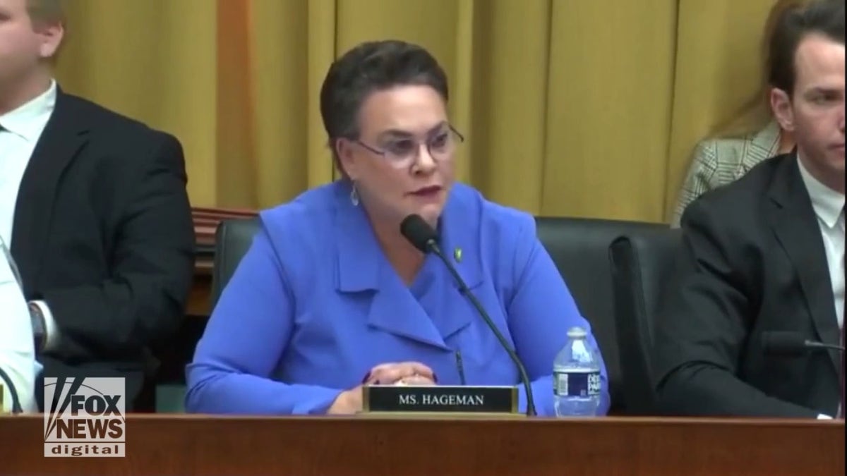 Harriet Hageman hearing