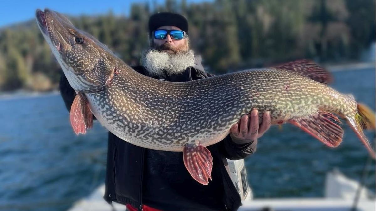 Idaho fisherman catches record pike weighing nearly 41 pounds