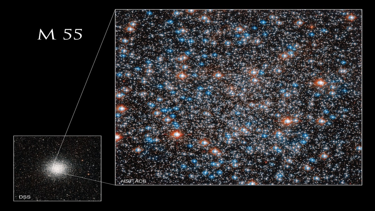 An image taken by the Digital Sky Survey of M55