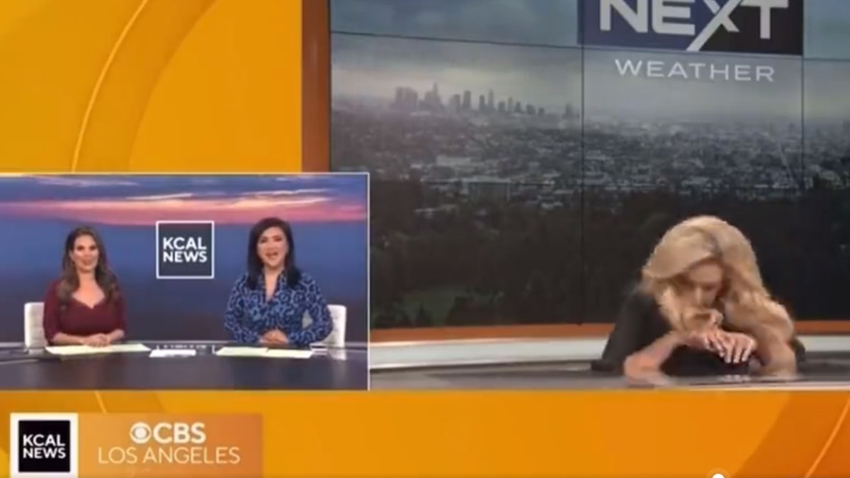 Weather woman faints on air