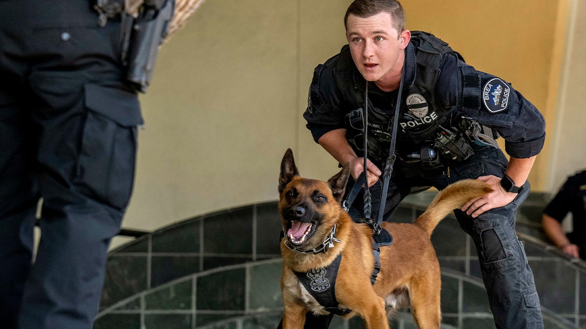 K-9 dog with police handler