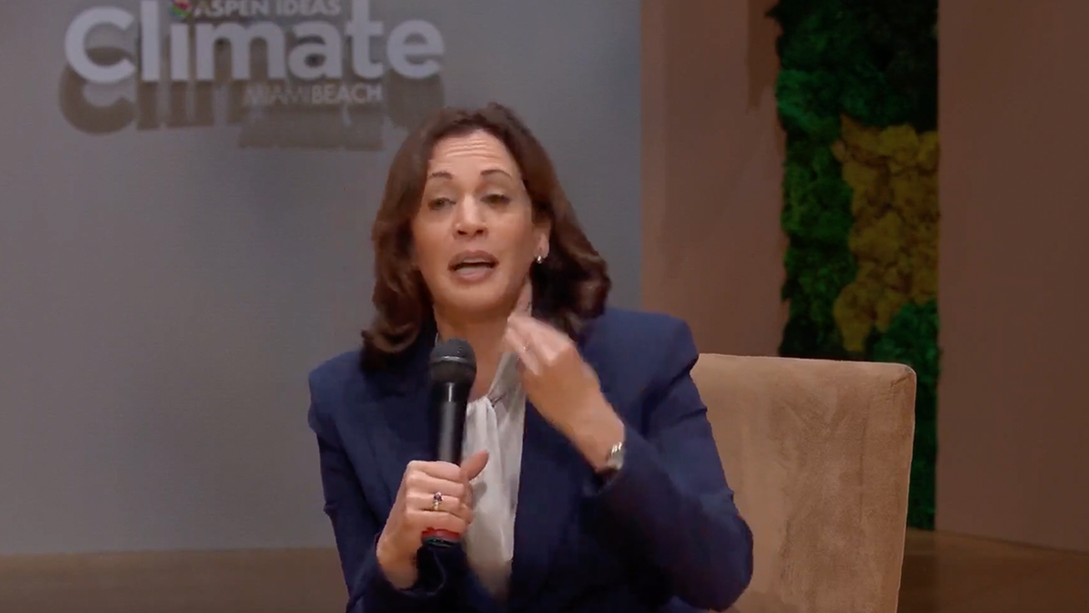 Vice President Kamala Harris Attempts To Explain AI In Latest Word ...