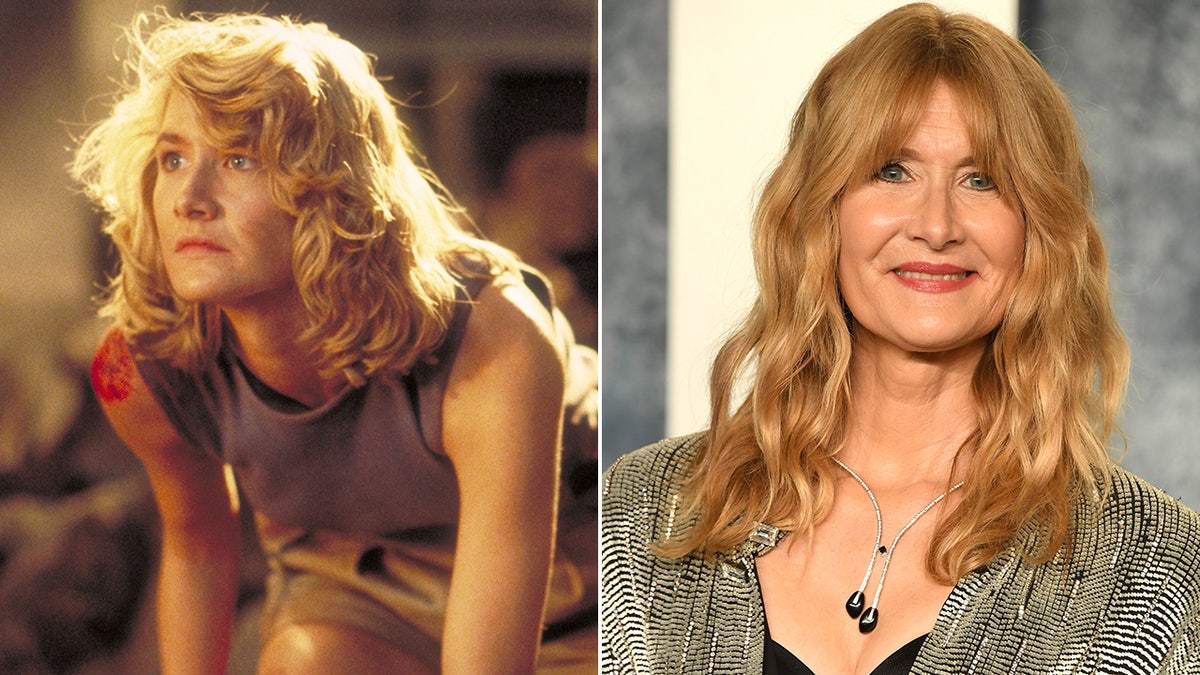 Laura Dern then and now split