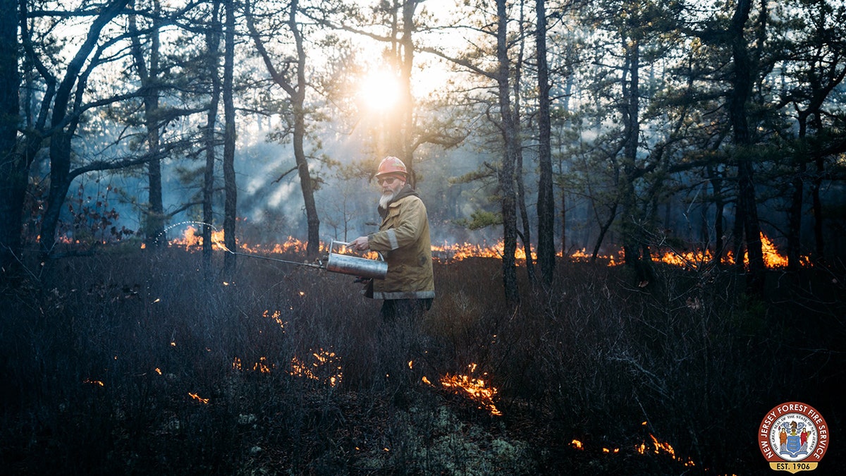 firefighter in charred forest