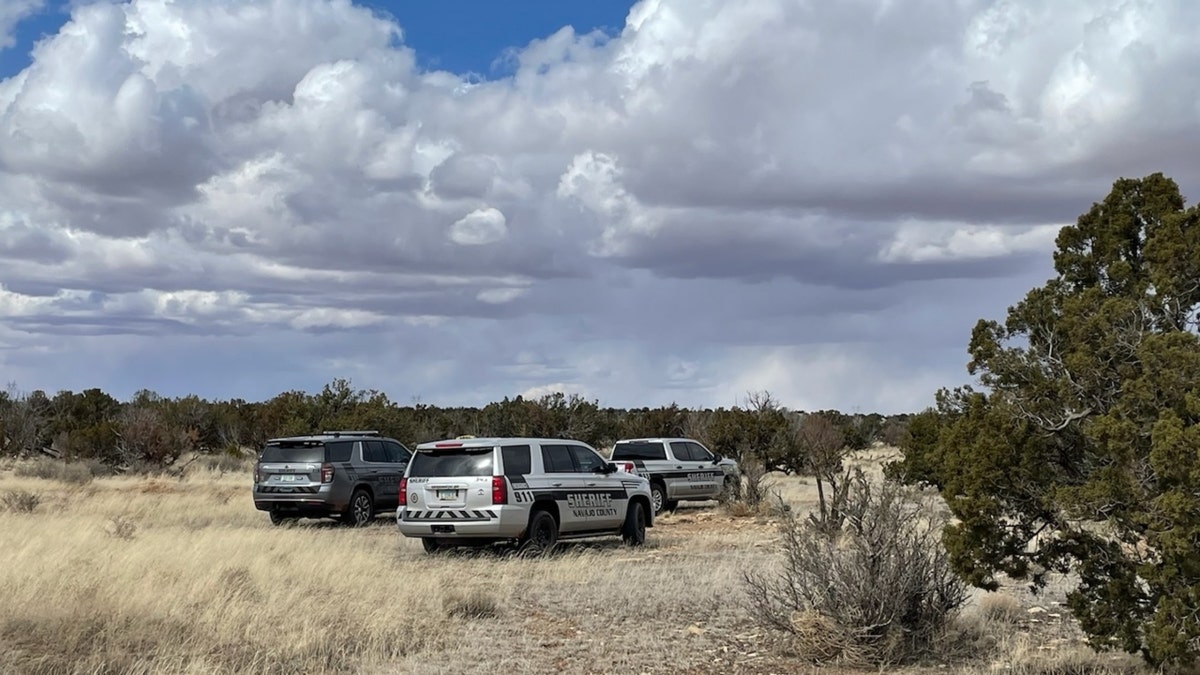 Navajo County Sheriff’s Office vehicles in a grassy area