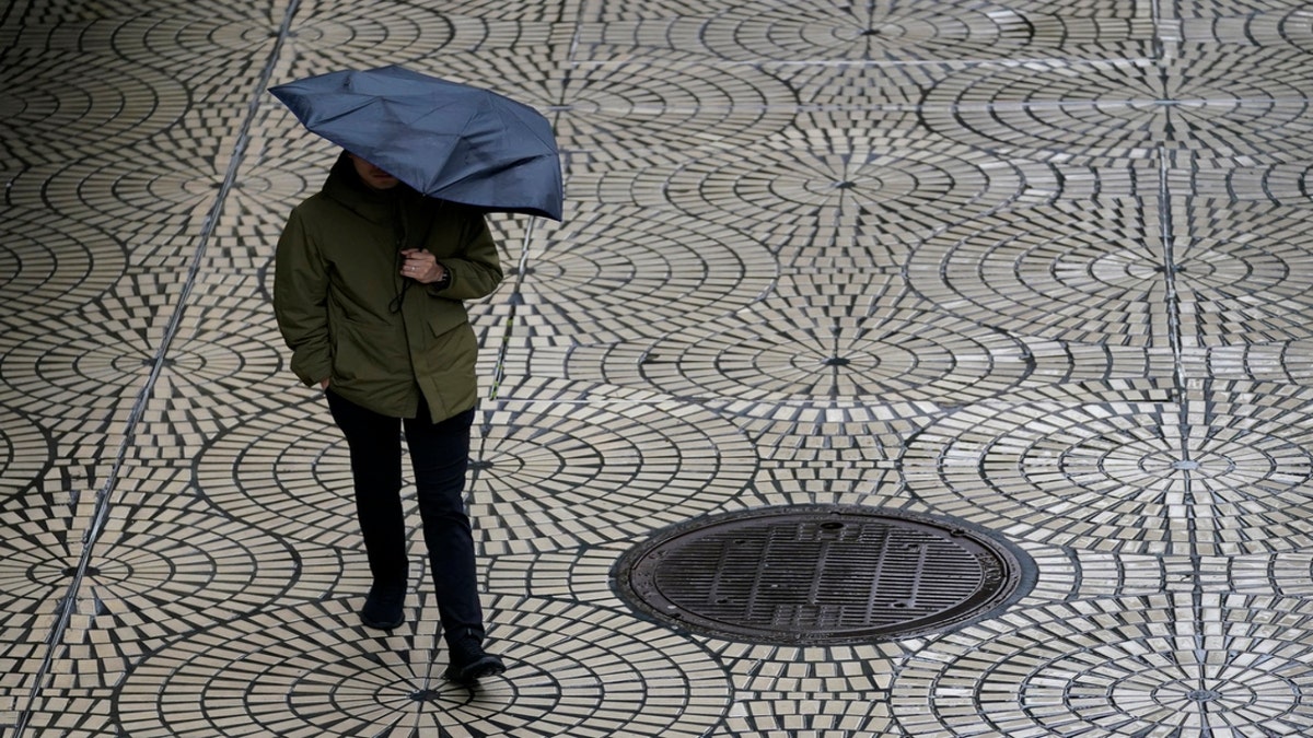 A man carrying an umbrella in San Francisco