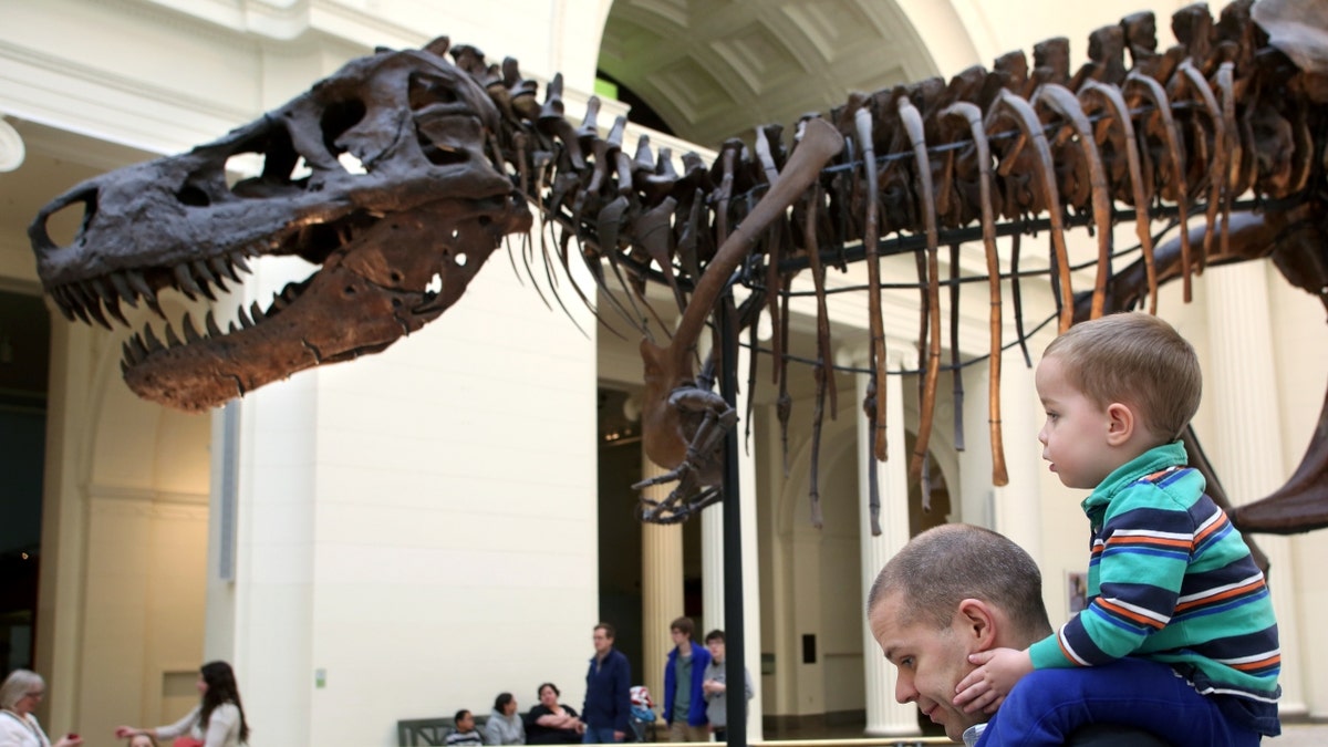 Visitors admire Sue at the Field Museum of Natural History in Chicago