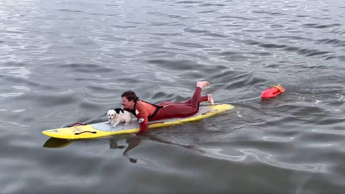 Marine Safety Officer Chase McColl saved a puppy who was stranded in the Pacific Ocean.