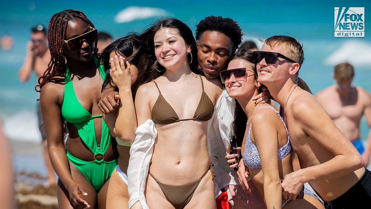 Spring Break Spring Break