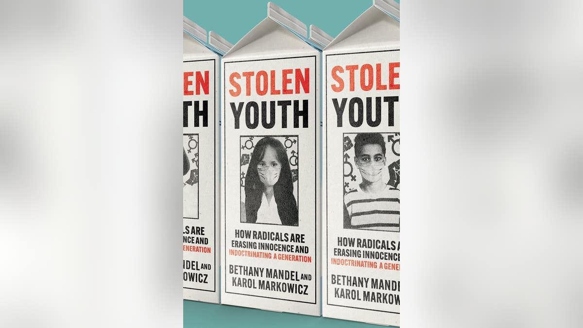 Stolen Youth book cover