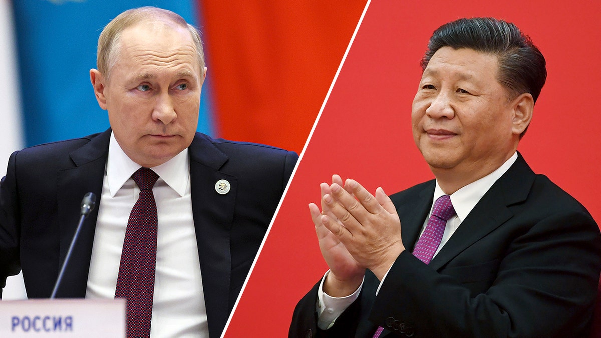 Putin, Xi Jinping