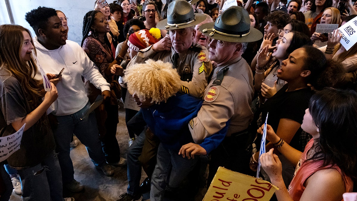 TN Capitol protestors and troopers