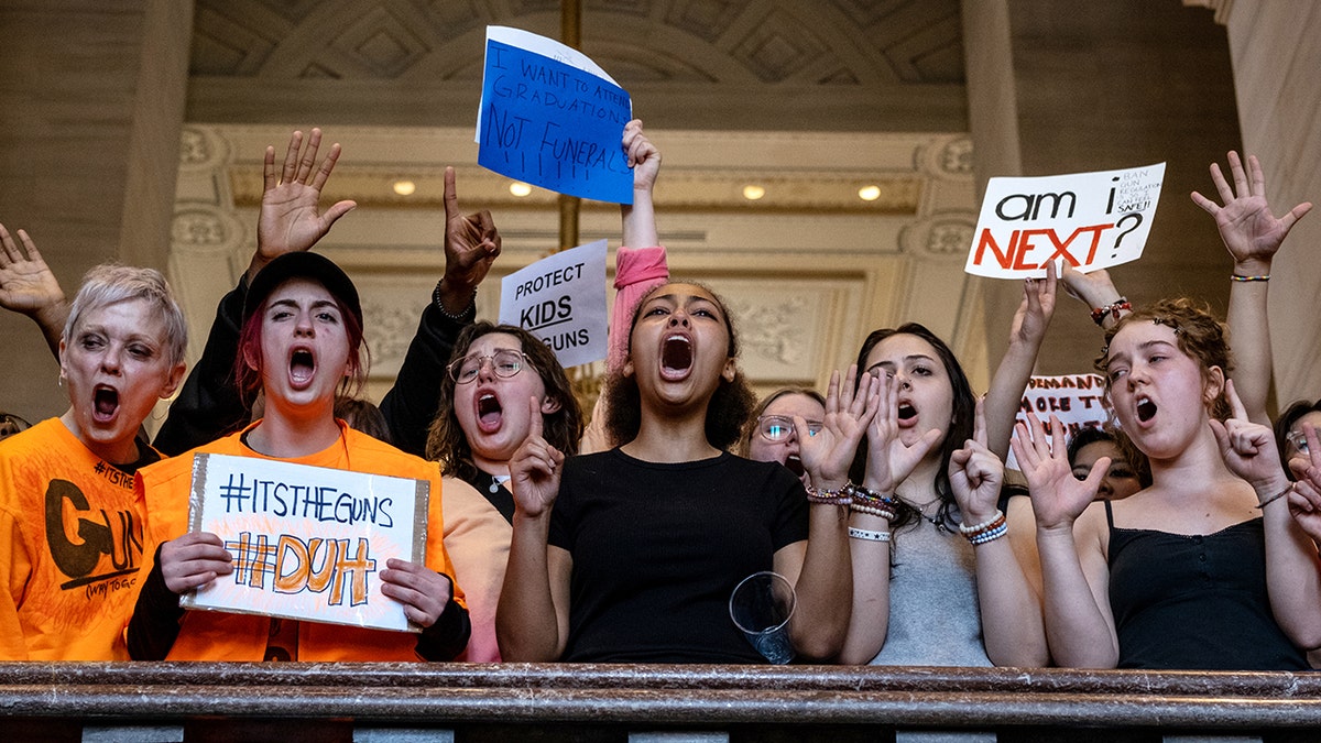 Protestors in the TN Capitol