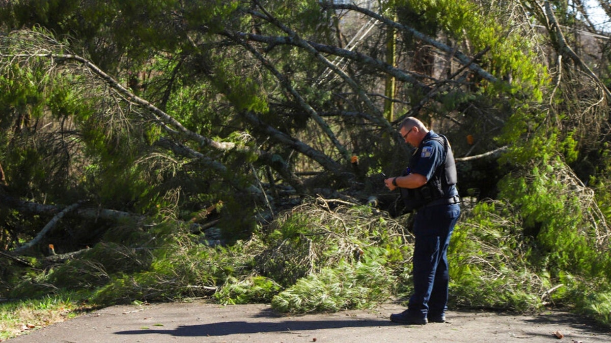 A police officer in Tennessee stands before a fallen tree