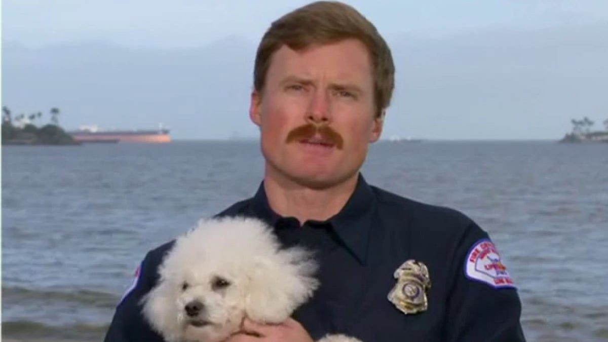Doggone grateful: Marine safety officer rescues dog stranded in ocean