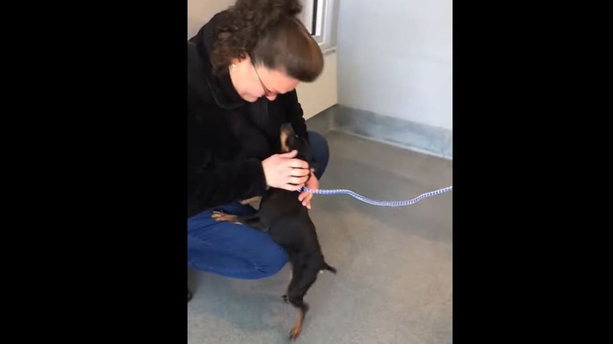 woman greets dog at shelter