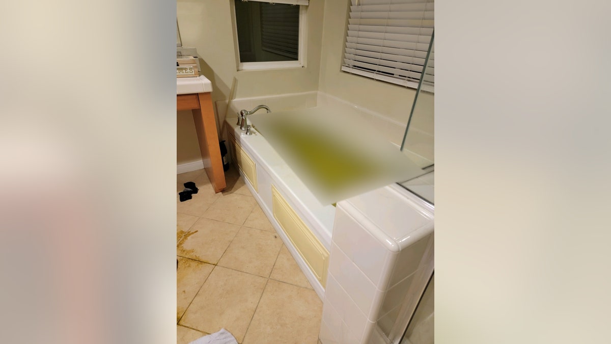 A disturbing photo of the bathtub where Aaron Carter was found dead. It still contains water that is tinged green.