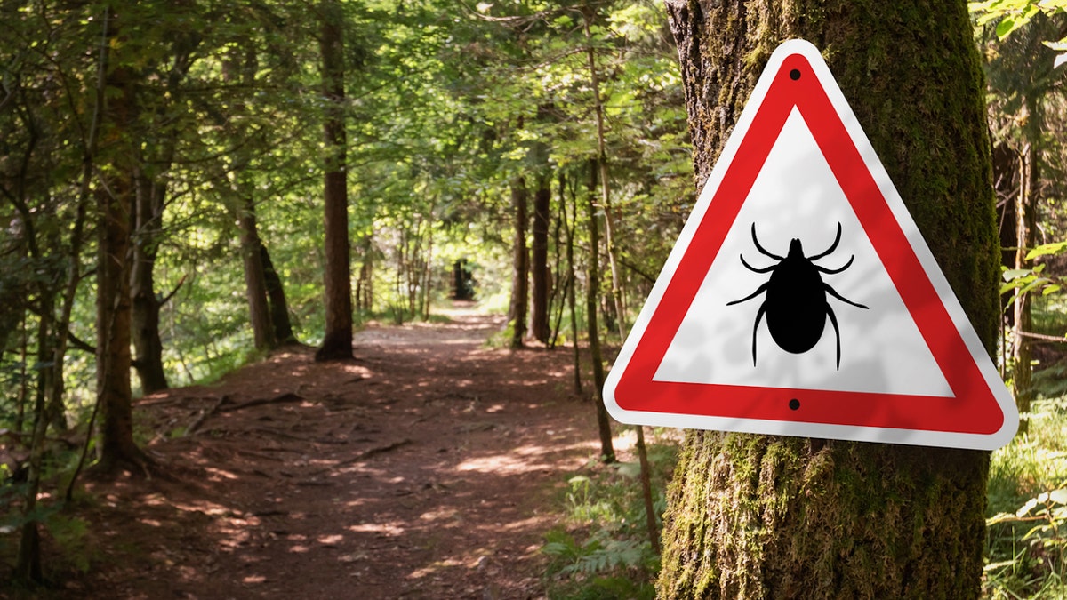 Tick sign in woods