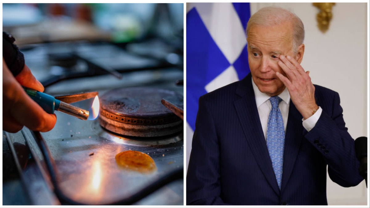 gas stove burner, left, President Biden at right