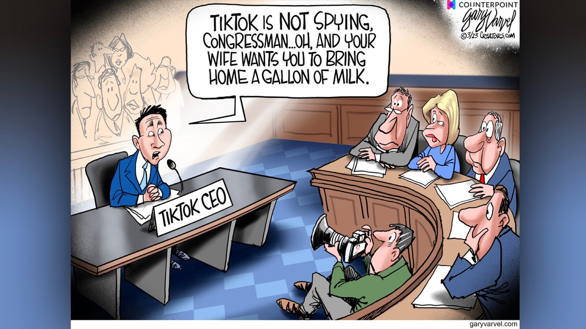 Political Cartoon