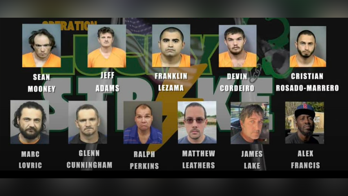 Citrus County Sheriff's Office arrests 10 suspects trying to have sex with minors