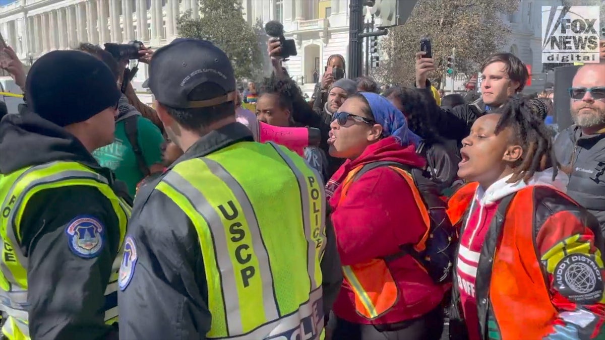 Protester Arrested As Demonstrators Confront Police At Dc Statehood Rally Ahead Of Senate Vote 