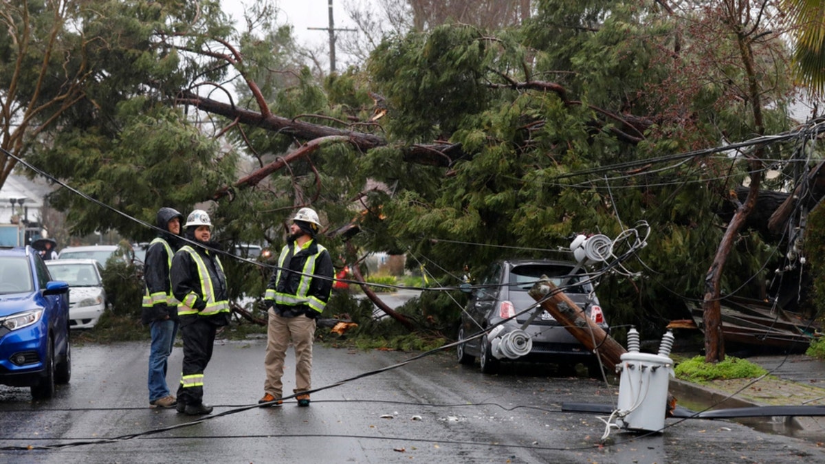 A tree crew surveys damage to a utility pole in Santa Rosa