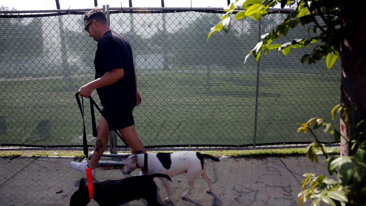 Man walks dog near Echo Park