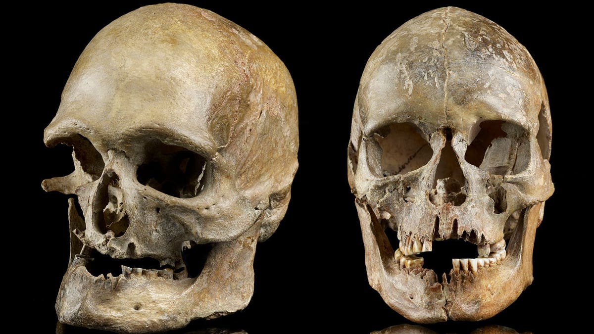 Did humans survive the ice age?