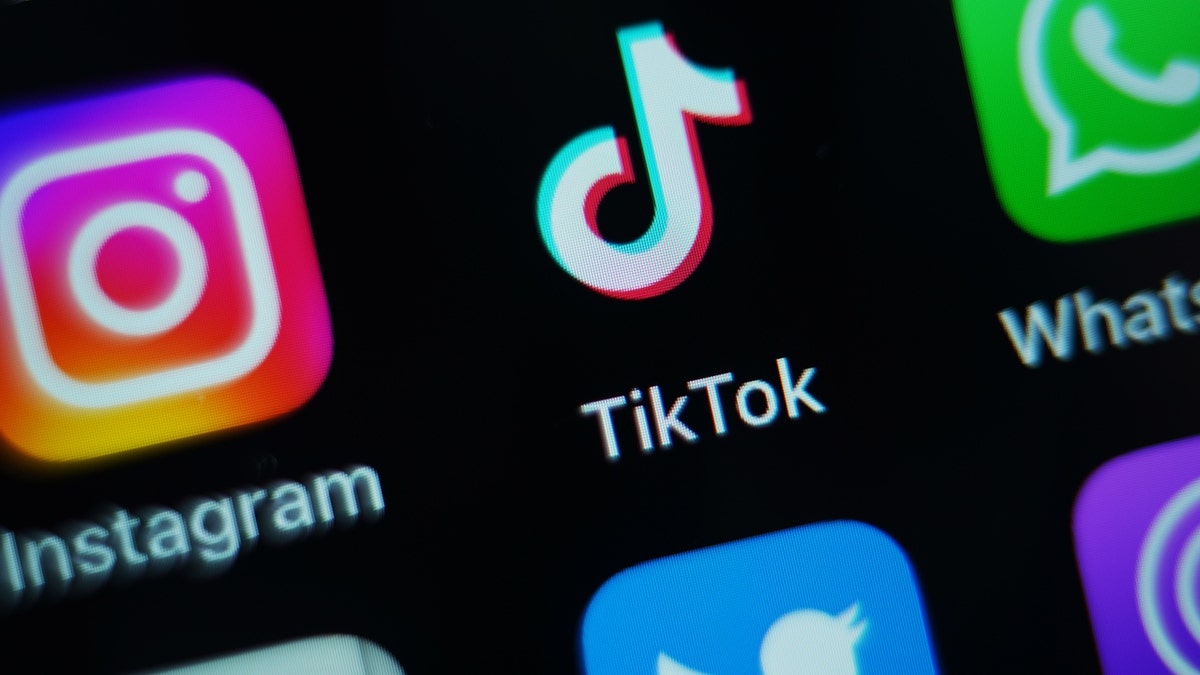 most disturbed person on planet earth｜TikTok Search