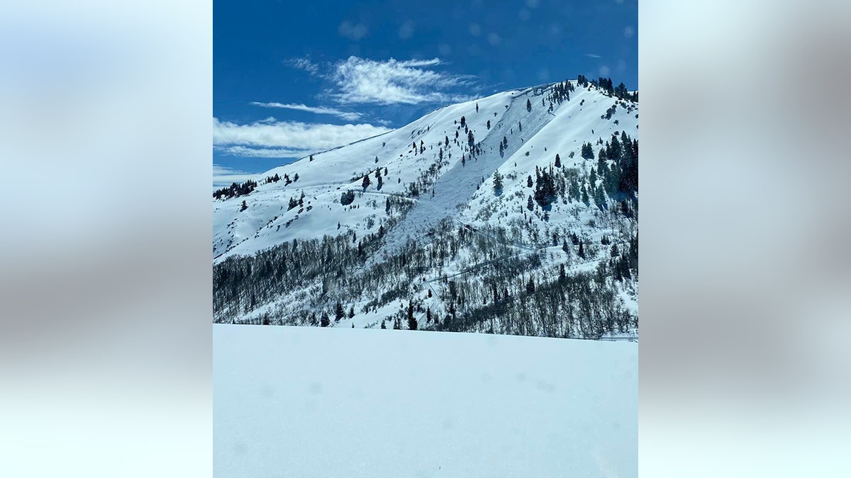 view of Gold Ridge avalanche