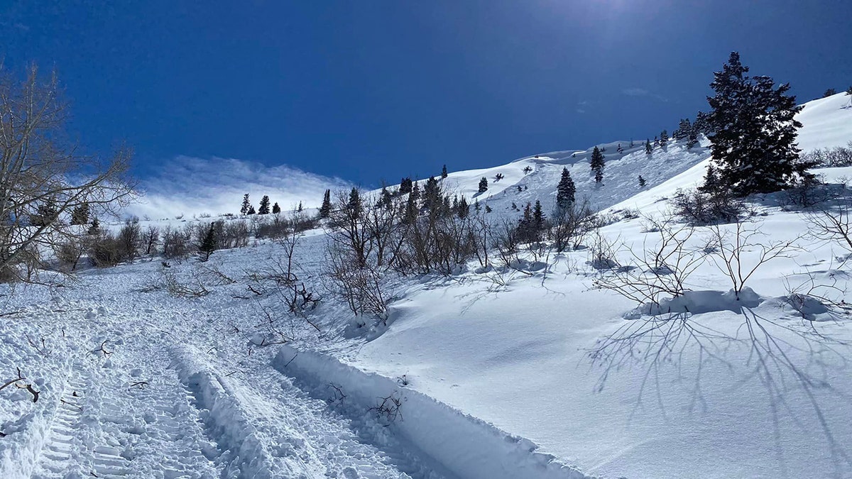 ground view of avalanche