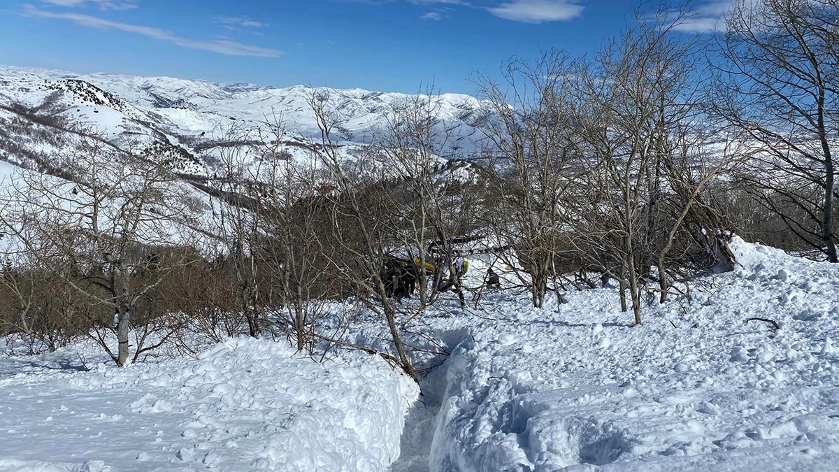 snowcat overturned in trees