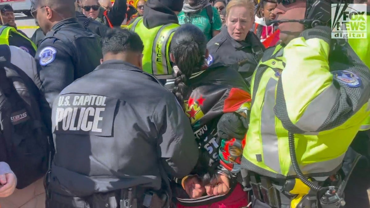 D.C. police handcuff protestor