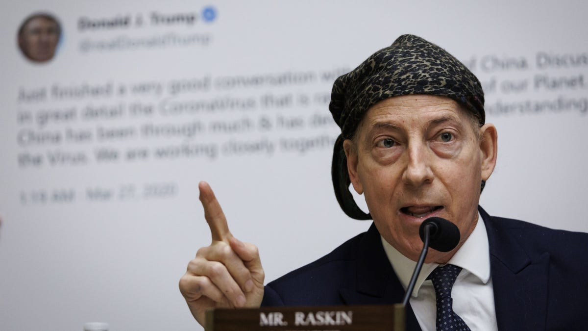 Representative Jamie Raskin, a Democrat from Maryland