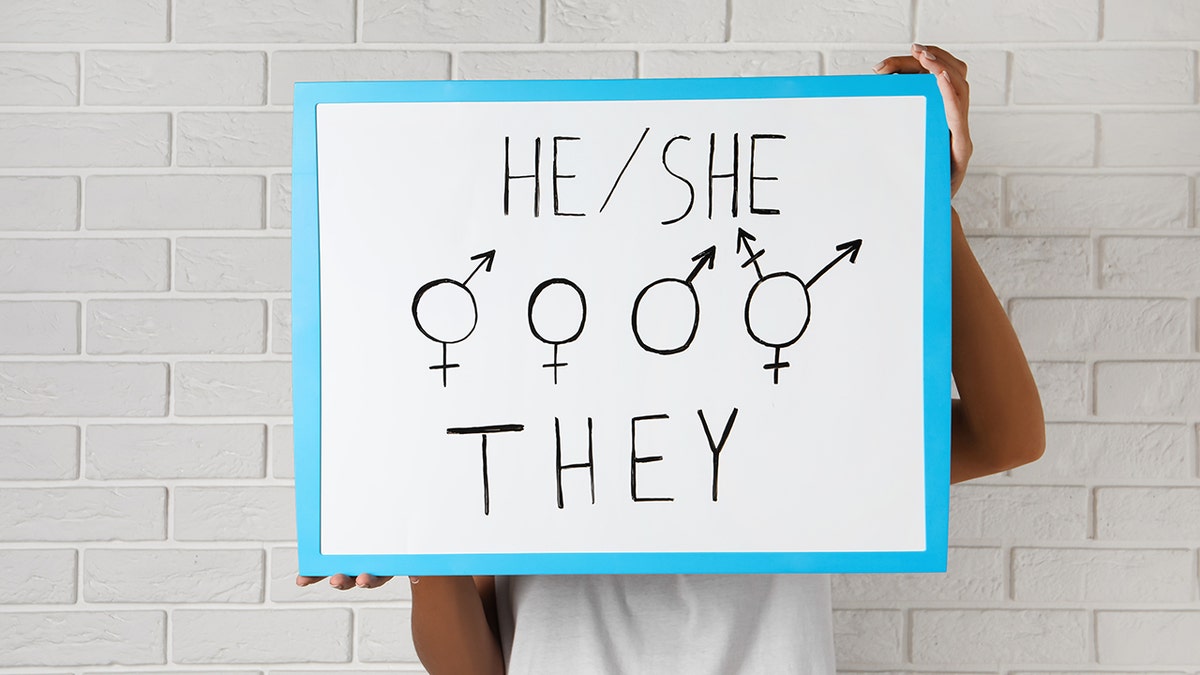 pronouns whiteboard sign