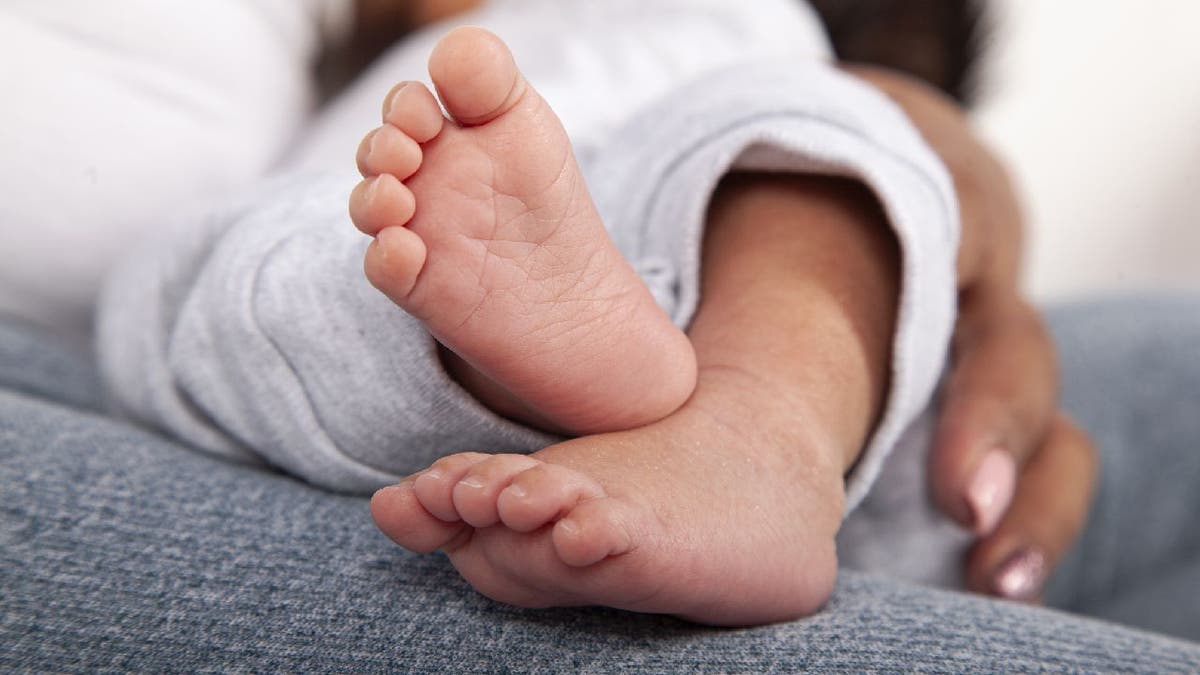 What Determines The Size Of Our Feet Here s What Goes Into It What What Determines The Size Of Our Feet Here s What Goes Into It What