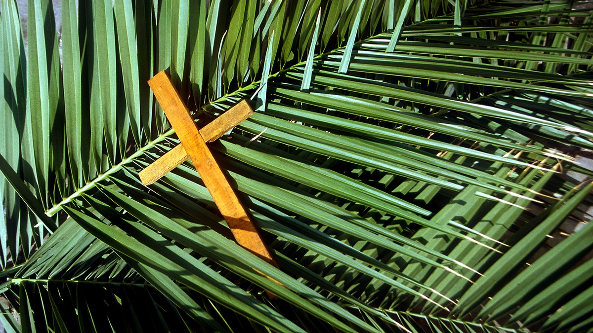 Palms on Palm Sunday