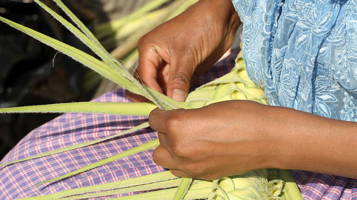 palms for Palm Sunday