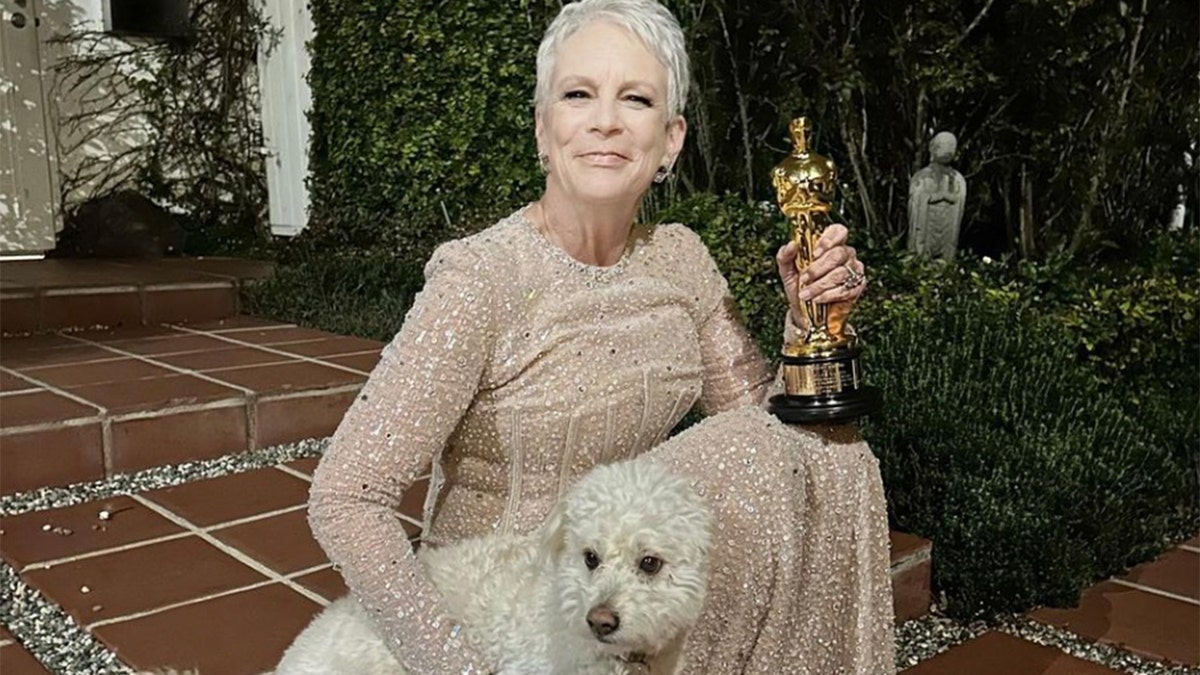 jamie lee curtis dog