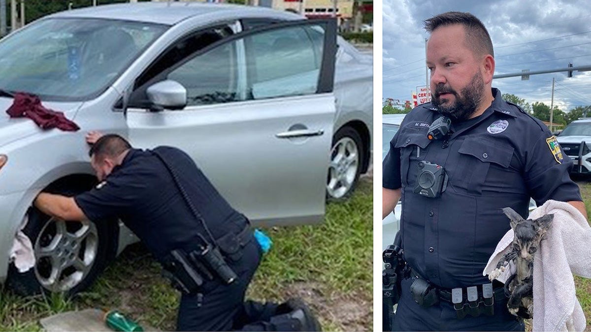 acksonville Sheriff's Office kitten in tire