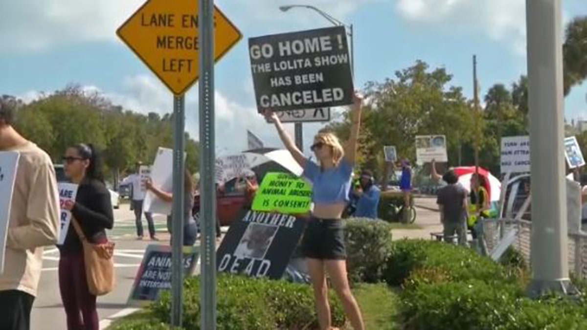Lolita protesters file
