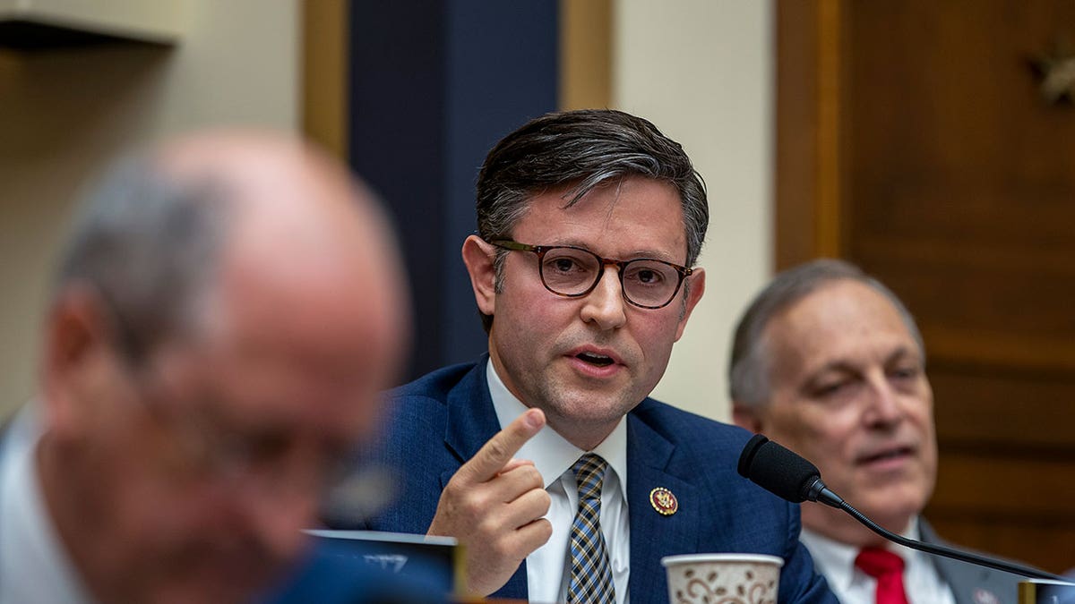 Mike Johnson, R-La., at congressional hearing