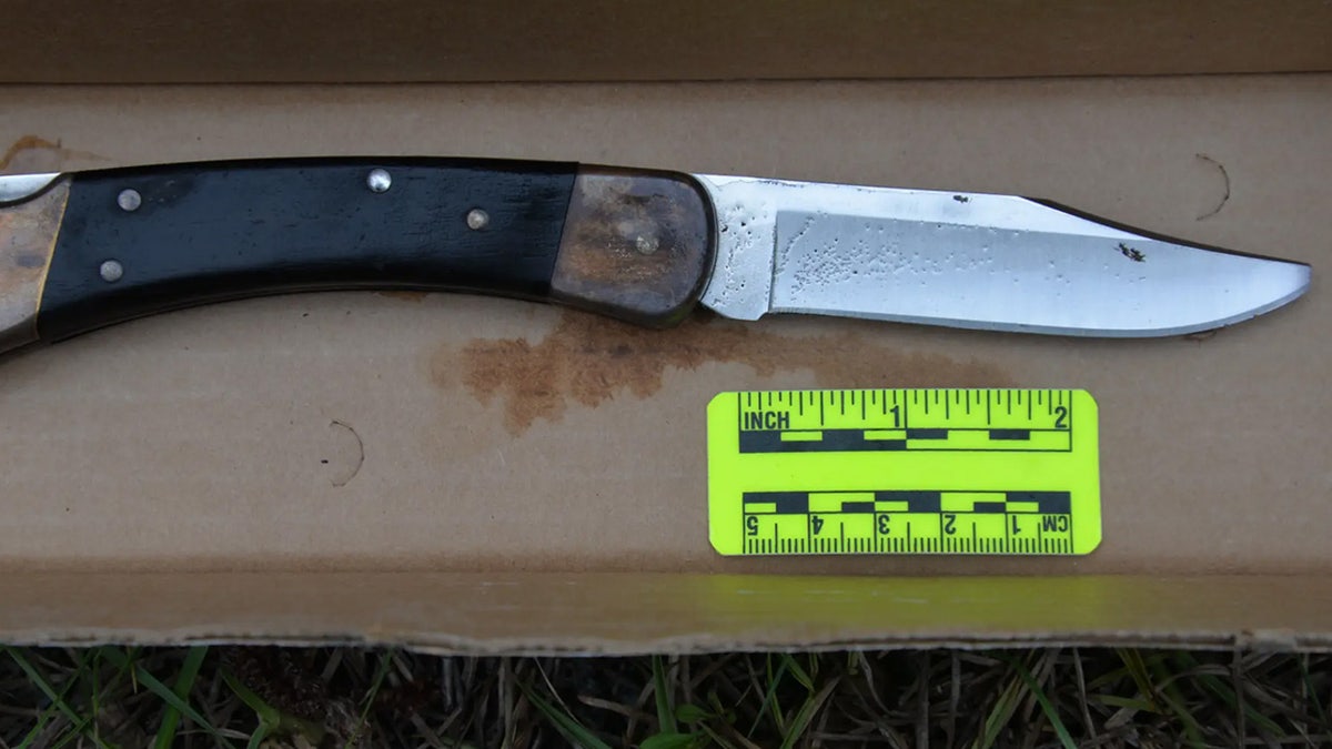 A hunting knife with a broken tip used to murder Tristyn Bailey