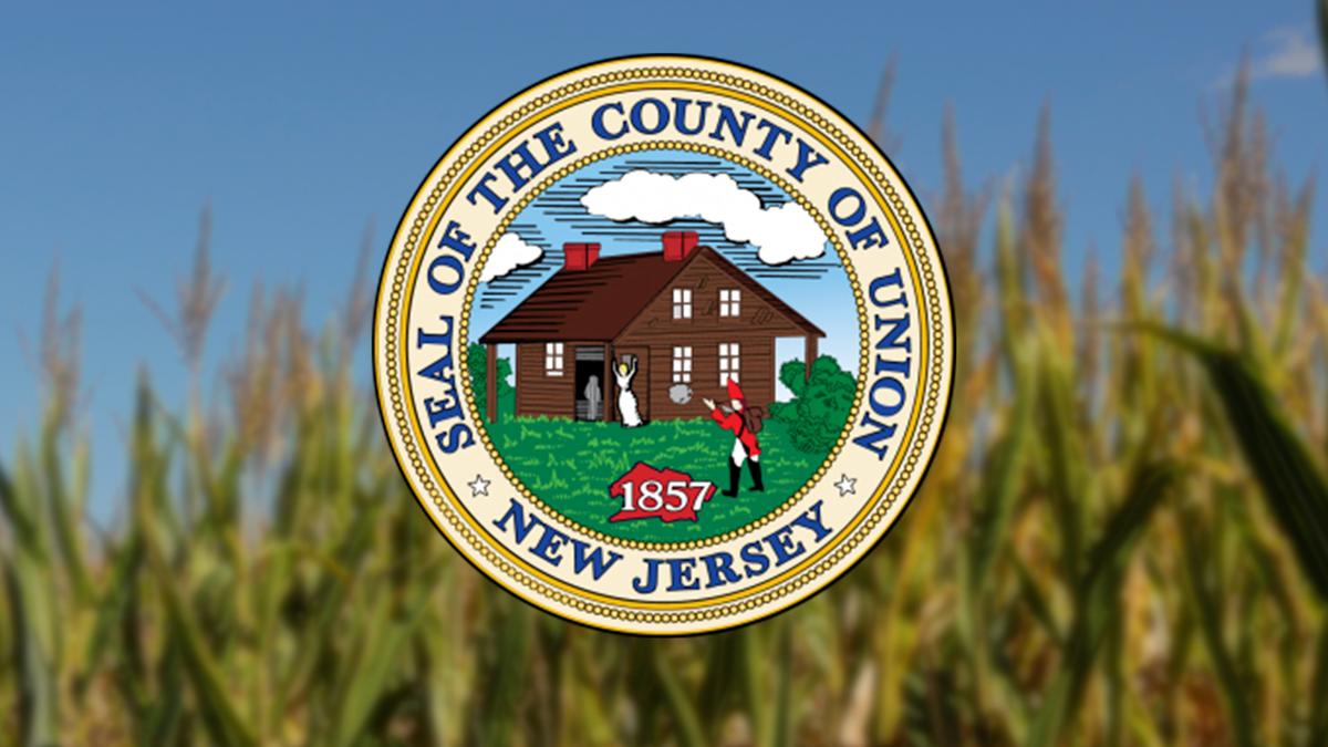 Union County New Jersey seal replacement