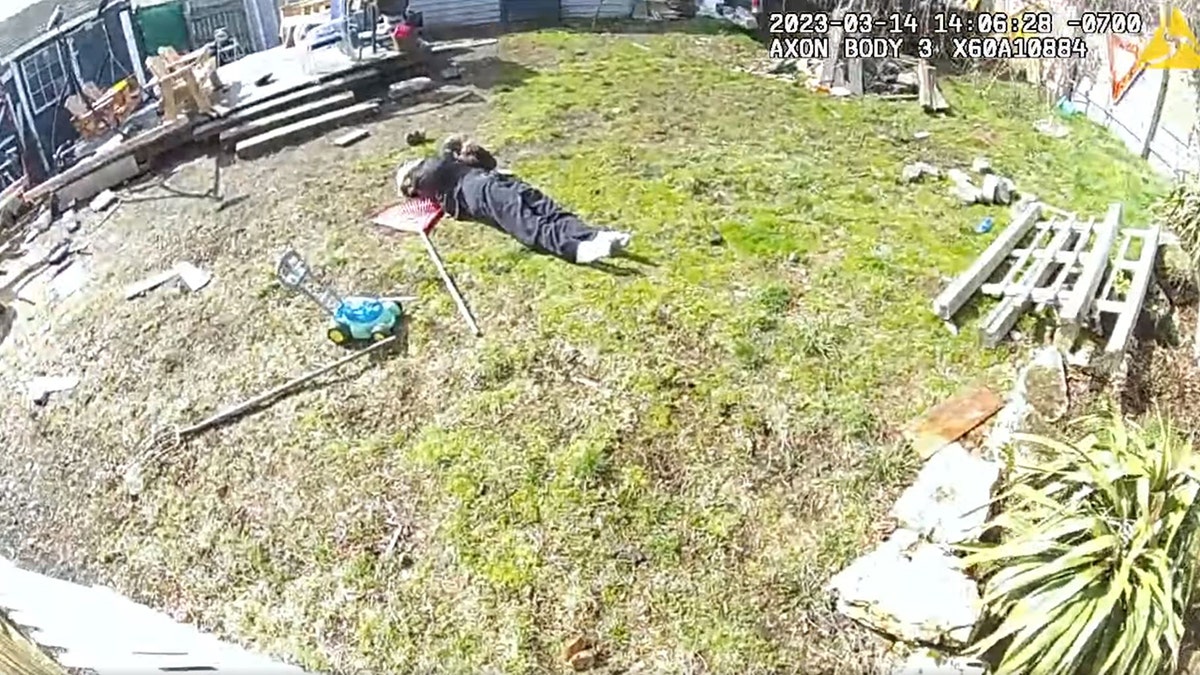 suspect tased and lying on ground
