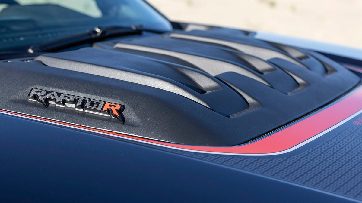 raptor hood